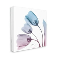 Stupell Industries neprozirna silueta tulipana plavo ružičasta Fotografija Dizajn Albert Koetsier, 36