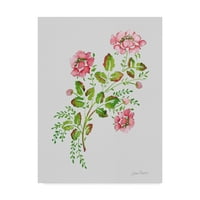 Zaštitni znak likovne umjetnosti divlja ruža ružičasta 1 platno umetnost od jean pljoce