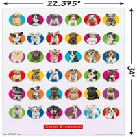 Keith Kimberlin - Puppy Grid zidni poster, 22.375 34