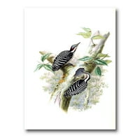 Drevne Ptice U Divljini V Slikarstvo Platno Art Print