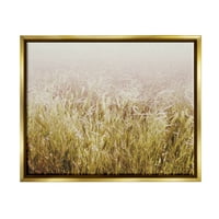 Stupell Industries zemlja travnjak pšenica polje fotografija metalik zlato plutajući uokvireni platno