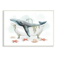 Stupell Home Dekor kit u nautičkoj kadu morska školjka morskog zvijezda, 15, dizajniran od ziwei li