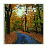 Stupell Industries Autumn Road Forest Landscape fotografija Neuramljena Umjetnost Print Wall Art, 13x19