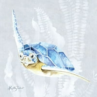 Morska kornjača II od Kelley talenta