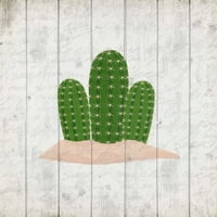 Štampa postera kaktusa Kimberly Allen