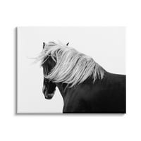 Stupell Industries konjička fotografija moderni kontrast konja crno bijeli, 30, dizajn Samanthe Carter