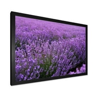 Designart' Blooming Purple Lavande Meadow ' Seoska Kuća Uokvirena Art Print