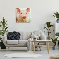 Stupell Industries razigrana Pink Landrace svinja krupni plan galerija portreta-zidna umjetnost sa omotanim
